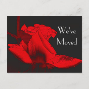Postale Faire-part Red Hot Rosebud Nouvelle adresse Floral Art Carte