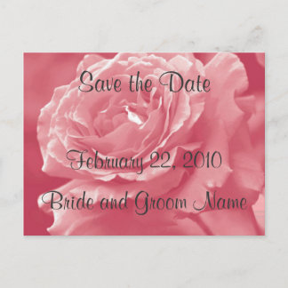 Postale Faire-part Roses roses Dusty Enregistrer la date Carte postal