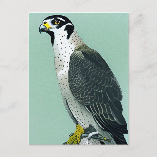 Postale Faucon pèlerin - Carte d'art de la faune oiseau de (Devant)