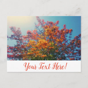 Postale Feuilles jaunes orange Arbre d'automne Carte posta