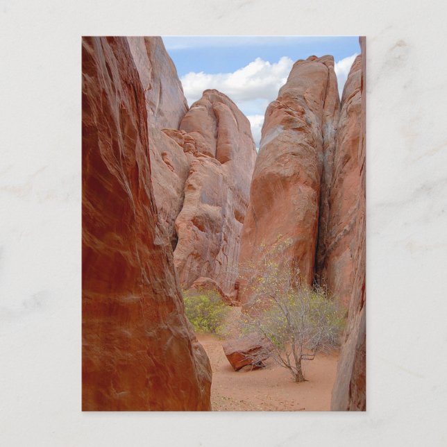 Postale Fins, Parc National Des Arches, Utah, Carte Postal (Devant)