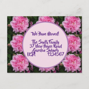 Postale Fleurs roses Nouvelle Adresse Carte Postale, Nous 