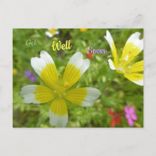 Postale Fleurs sauvages : Carte de vœux de rétablissement 