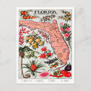 Postale Floride - Carte de l'État des Everglade