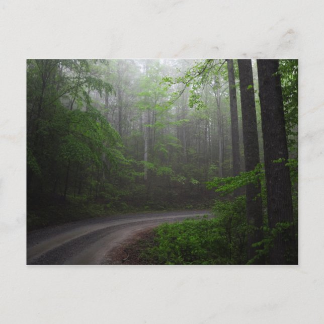 Postale Forêt nationale de Pisgah, Caroline du Nord carte  (Devant)