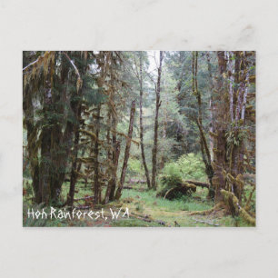 Postale Forêt pluviale de Hoh, État de Washington, Carte p