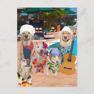 Postale Funny Chien personnalisable Pool Party Carte posta