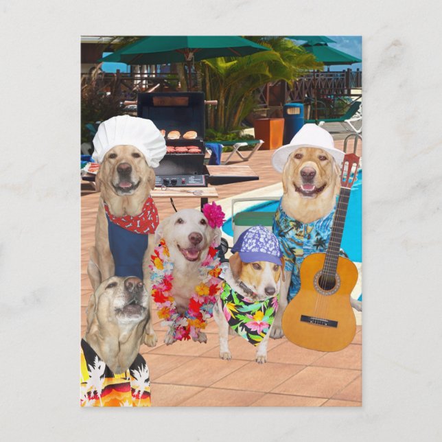 Postale Funny Chien personnalisable Pool Party Carte posta (Devant)