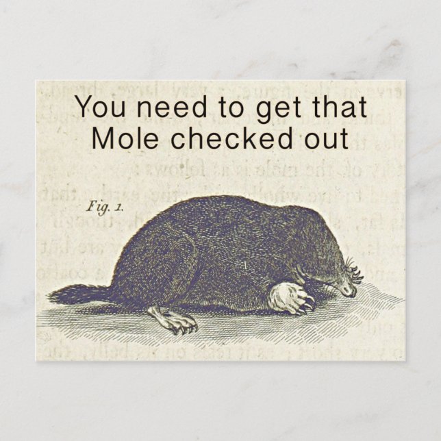 Postale Funny Mole Carte de voeux, Humour d'anniversaire a (Devant)