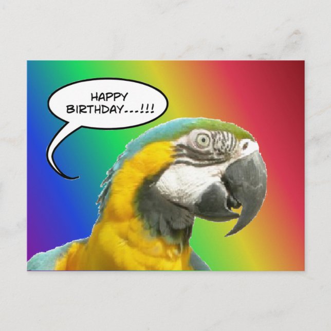 Postale Funny Talking Parrot Rainbow Birthday Carte postal (Devant)