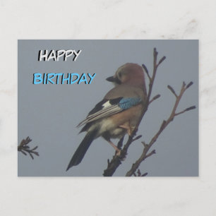 Postale Geai mignon dans l'arbre Carte d'anniversaire