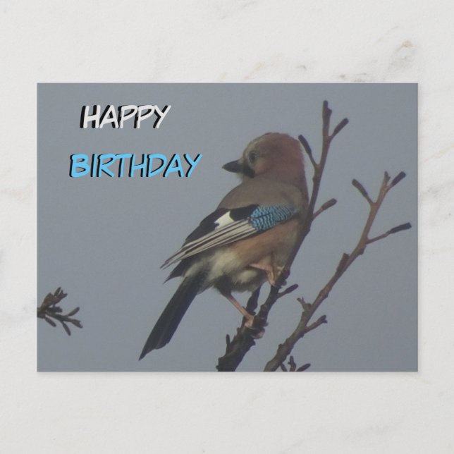 Postale Geai mignon dans l'arbre Carte d'anniversaire (Devant)
