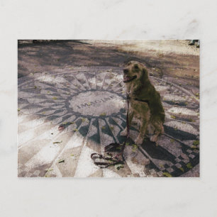 Postale Golden in Strawberry Fields aka "Imagine" Carte po