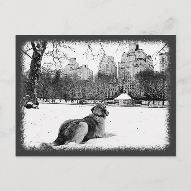 Postale Golden par Conservatory Water-Central Park Carte p (Devant)