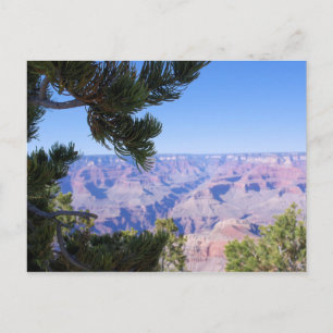 Postale Grand Canyon - Vue à travers les pins - Carte post