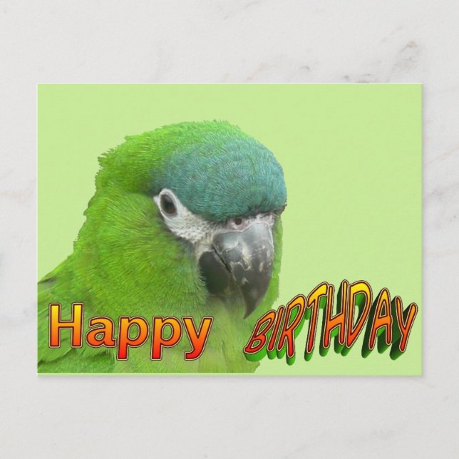 Postale Green Lorikeet Joyeux Coup D'Anniversaire. Carte p (Devant)