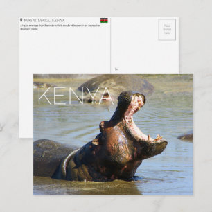 Postale Hippopotame dans le Masai Mara, Kenya Carte postal