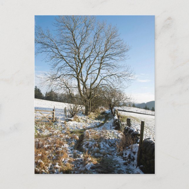 Postale Hiver Carte Forêt Macclesfield (Devant)