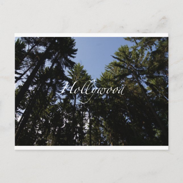 Postale Hollywood - Carte de voeux (Devant)