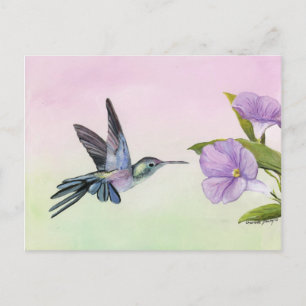 Postale Hummingbird at Morning Glory bird art Carte postal
