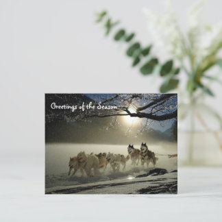 Postale Huskies Husky Holiday Sled Chien de Noël Carte pos