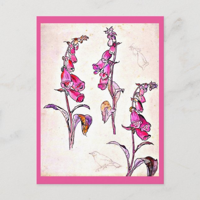 Postale Illustration Vintage carte postale-Beatrix Potter  (Devant)