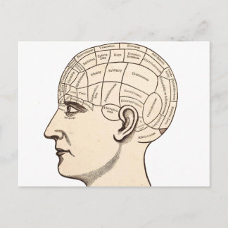 Postale Image de carte du cerveau d'anatomie vintage