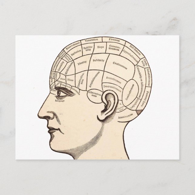Postale Image de carte du cerveau d'anatomie vintage (Devant)