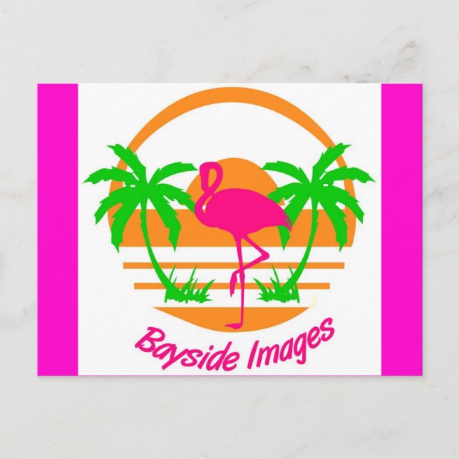POSTALE IMAGES DE BAYSIDE CARTE POST FLAMANT ROSE ROSE (Devant)