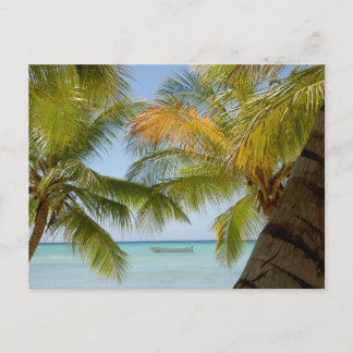Postale Isla Saona (île) République Dominicaine Carte post