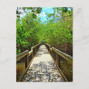 Postale J N Ding Darling National Wildlife Refuge Carte po