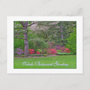 POSTALE JARDIN BOTANIQUE DE TOLÈDE, PRINTEMPS, CARTE POSTA