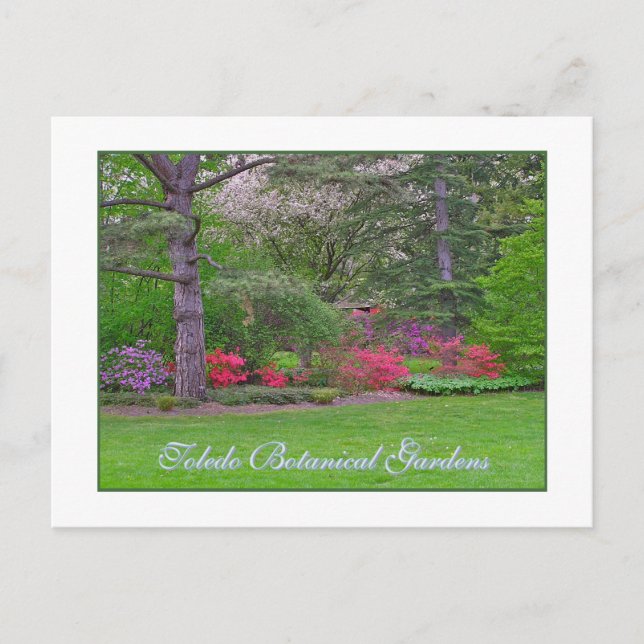 POSTALE JARDIN BOTANIQUE DE TOLÈDE, PRINTEMPS, CARTE POSTA (Devant)
