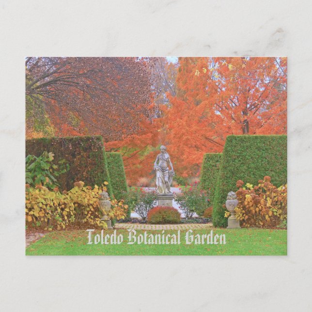 POSTALE "JARDIN BOTANIQUE DE TOLEDO EN AUTOMNE" CARTE POST (Devant)