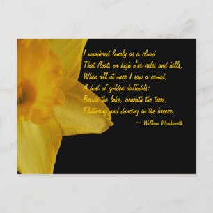 Postale Jaune Daffodique; William Wordsworth Poem Carte po