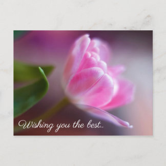 Postale Je vous souhaite la meilleure - Carte d'anniversai