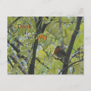 Postale Joli rouge-gorge dans l'arbre Carte de remerciemen