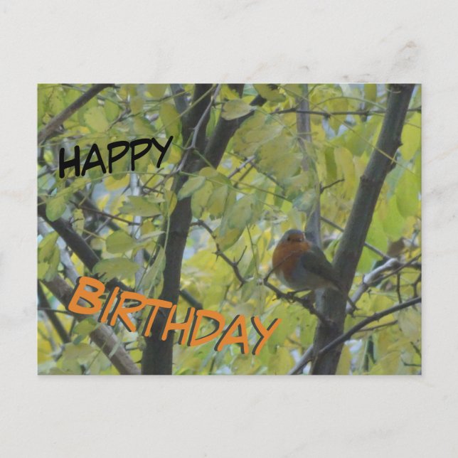 Postale Jolie carte d'anniversaire avec un rouge-gorge dan (Devant)