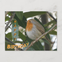 Jolie carte d'anniversaire de Robin & feuilles ver