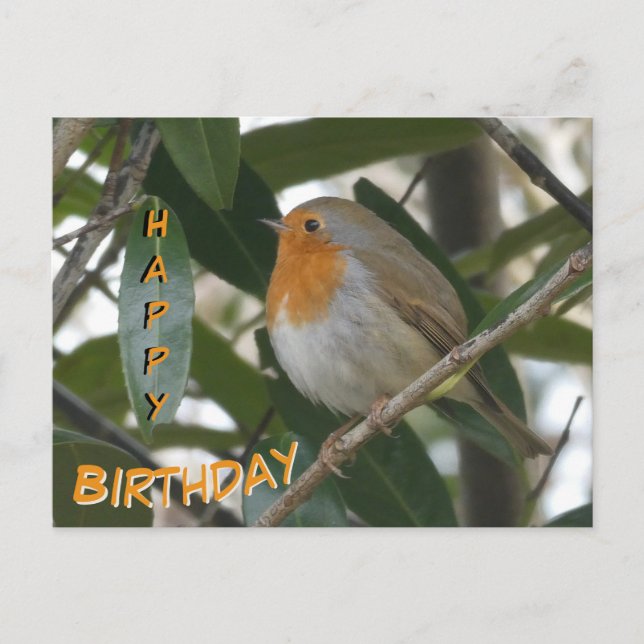 Postale Jolie carte d'anniversaire de Robin & feuilles ver (Devant)