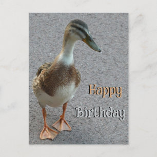 Postale Jolie carte de vœux d'anniversaire de canard qui m