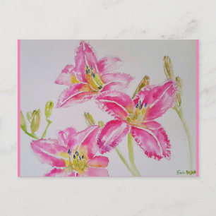Postale Jolie Lily dans une peinture aquarelle rose carte 