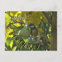 Jolie petite carte d'anniversaire d'oiseau qui man