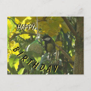 Postale Jolie petite carte d'anniversaire d'oiseau qui man
