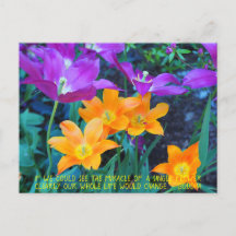 Jolie Tulipes Printemps Orange Purple Carte Postal