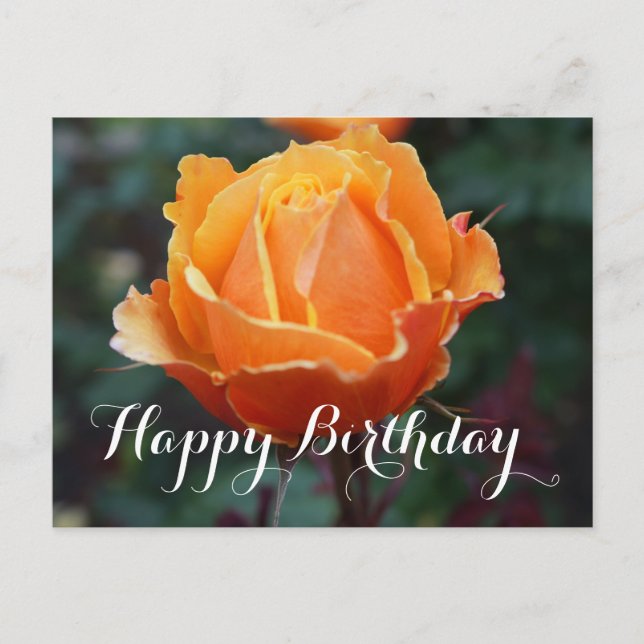 Postale Joyeux Anniversaire About Face Rose #1 Carte Posta (Devant)