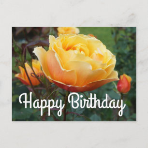 Postale Joyeux Anniversaire About Face Rose #2 Carte Posta
