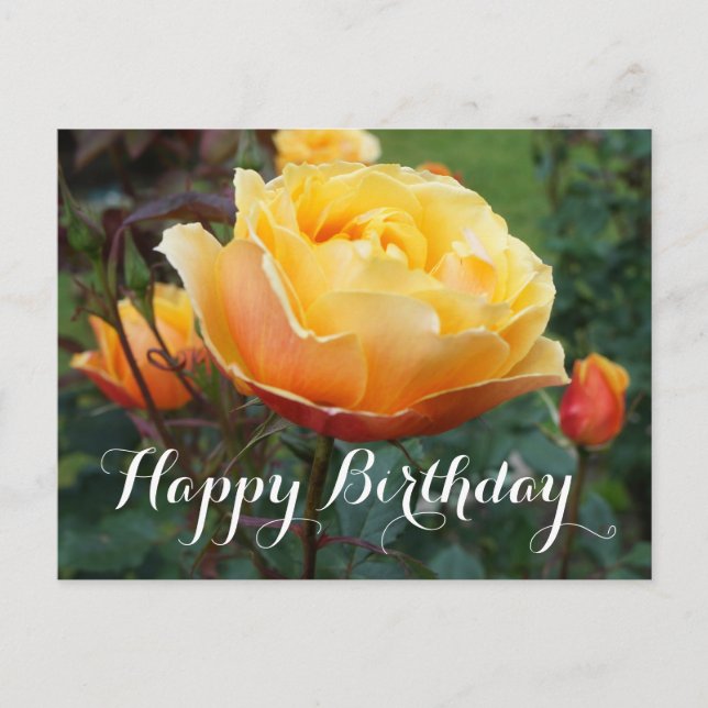 Postale Joyeux Anniversaire About Face Rose #2 Carte Posta (Devant)