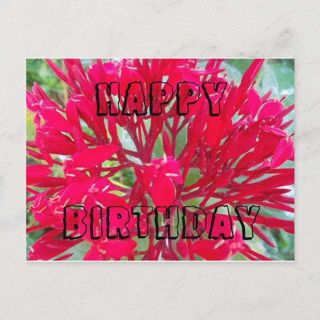 Postale Joyeux anniversaire Belle fleurs rouges Carte post (Devant)