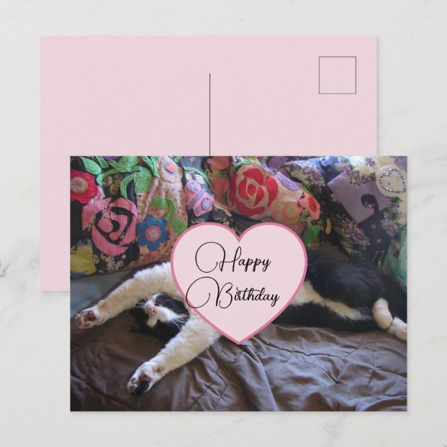 Postale Joyeux Anniversaire Chat Smoking Chats Carte Posta (Devant / Derrière)